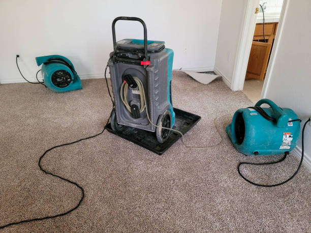 Best Water damage restoration near me  in Ridge Manor, FL