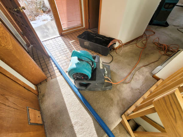 Best Flooded house restoration  in Ridge Manor, FL