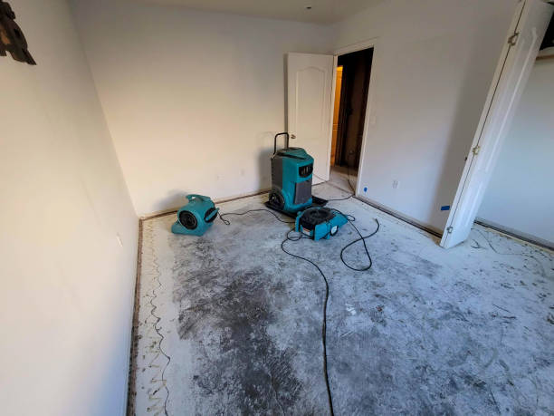 Best Flooded house restoration  in Ridge Manor, FL