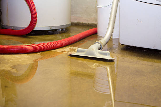 Best Commercial water damage restoration  in Ridge Manor, FL