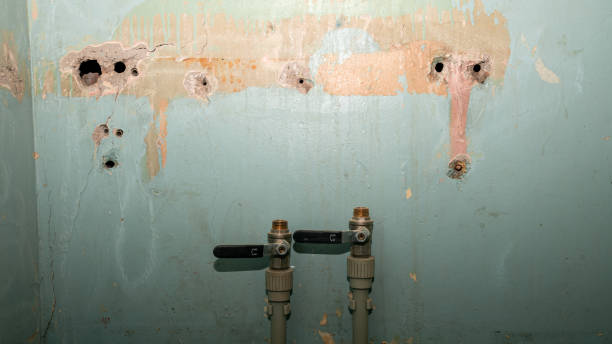Ridge Manor, FL Water damage restoration Company