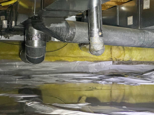 Best Basement water damage restoration  in Ridge Manor, FL