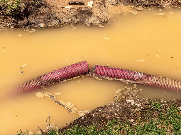Best Residential water damage restoration  in Ridge Manor, FL