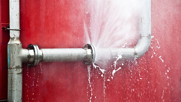 Best Flood restoration services  in Ridge Manor, FL